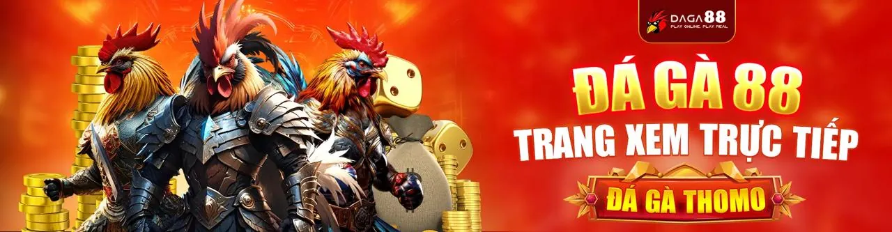 Hình ảnh chính giới thiệu 888bet code, nền tảng cá cược trực tuyến hàng đầu